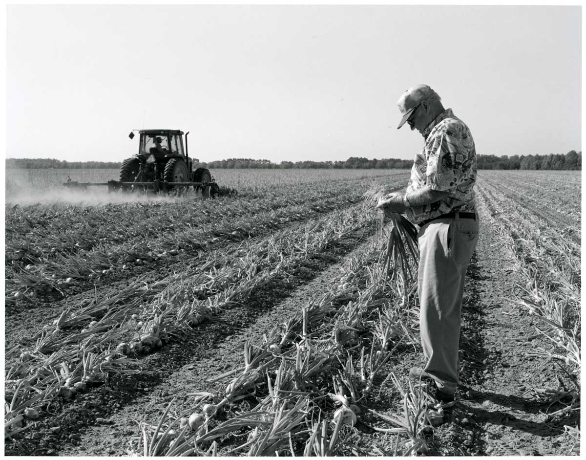 Raymond Bland growing Vidalia Onions